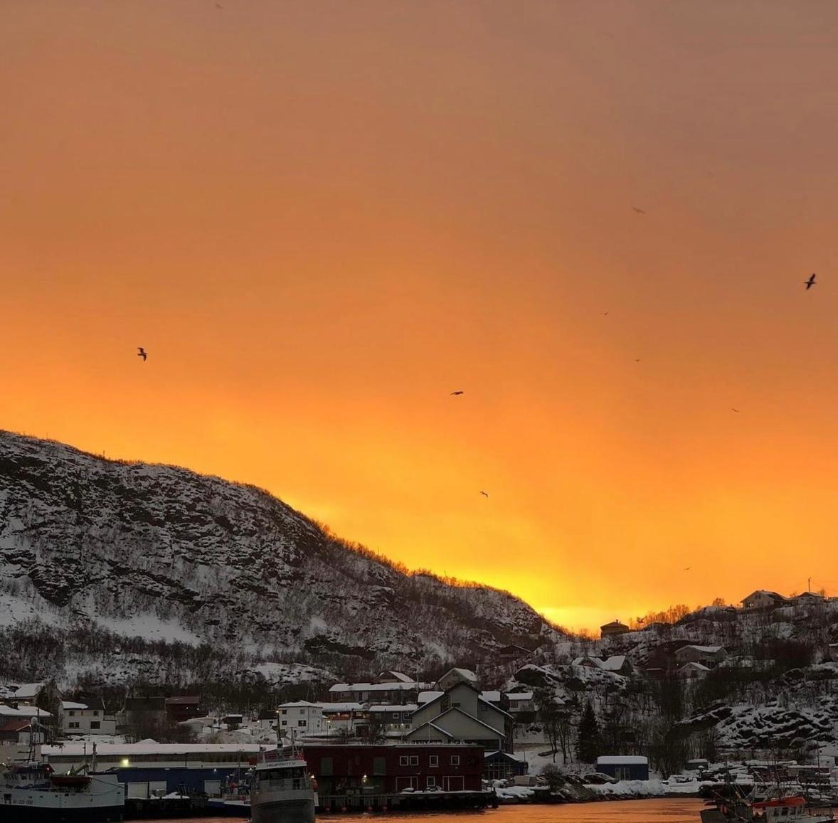 Arctic Loft Leilighet Skjervoy Eksteriør bilde